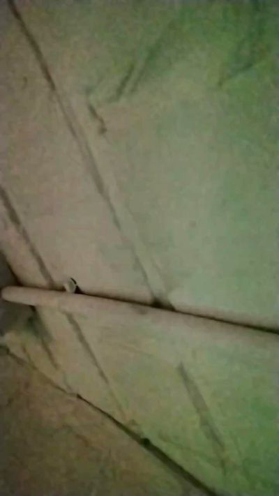 anamariaaran's sex show image