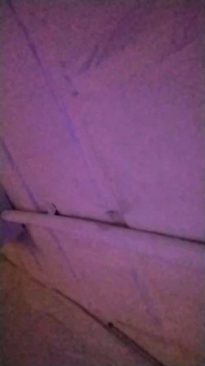 anamariaaran's sex show image