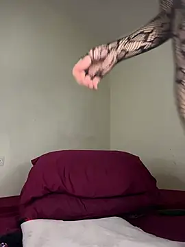 arabayla's sex show image