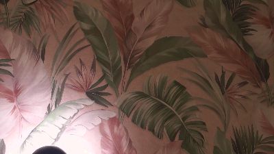 MaryleeElmblad's sex show image