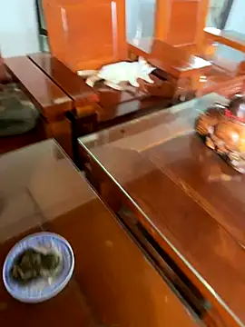 Sexshow-Bild von Emily-y Sexshow-Bild von Emily-y