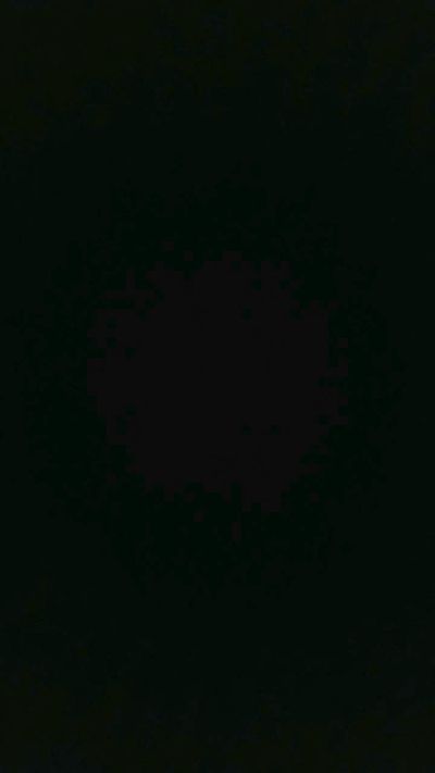 arace_xxx's sex show image