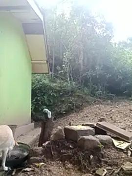 anusexygirl1's sex show image anusexygirl1's sex show image