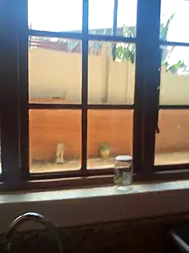 IndianDelia's sex show image