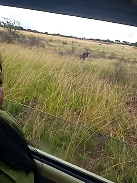 IndianDelia's sex show image