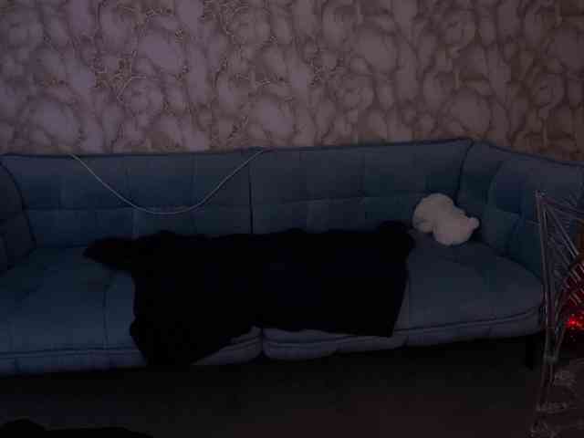 Изображение секс-шоу модели LiviaShy