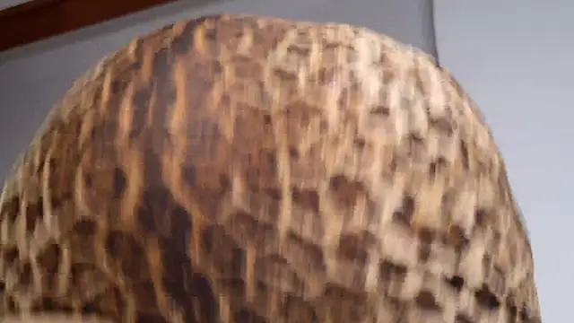 SelenaBlumX's sex show image SelenaBlumX's sex show image