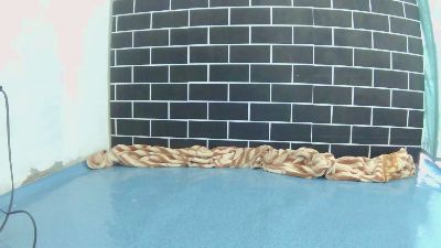 wildpoohkhaye's sex show image wildpoohkhaye's sex show image