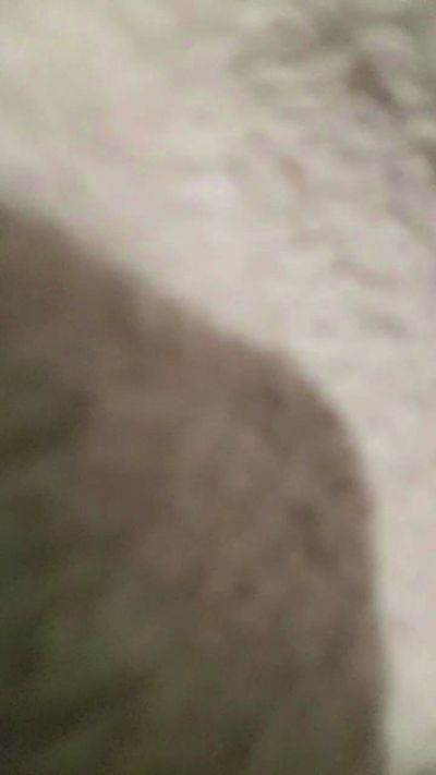 Gataonlyxx's sex show image