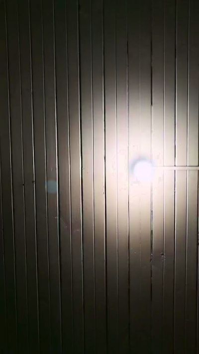 Sexshow-Bild von paramiposa3