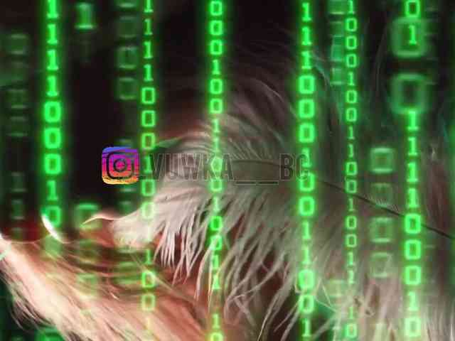 blondinochkaa's sex show image