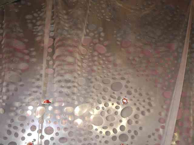 Изображение секс-шоу модели AnnaCandies