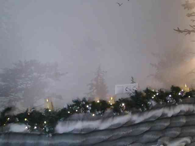 Изображение секс-шоу модели Kissz Изображение секс-шоу модели Kissz