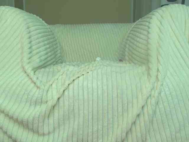 squikt's sex show image