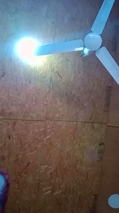 Sexshow-Bild von AlejandritaMilf Sexshow-Bild von AlejandritaMilf