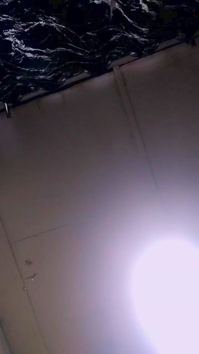 Изображение секс-шоу модели Chilenafogosa