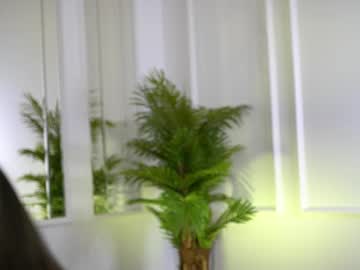 alexxiskye's sex show image alexxiskye's sex show image