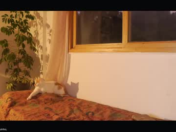 Изображение секс-шоу модели maria_alfonsina_