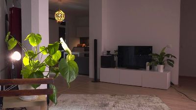 BevHamler's sex show image