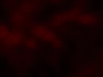 kloelamaravilla18's sex show image