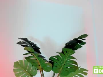 Изображение секс-шоу модели ashllovee_