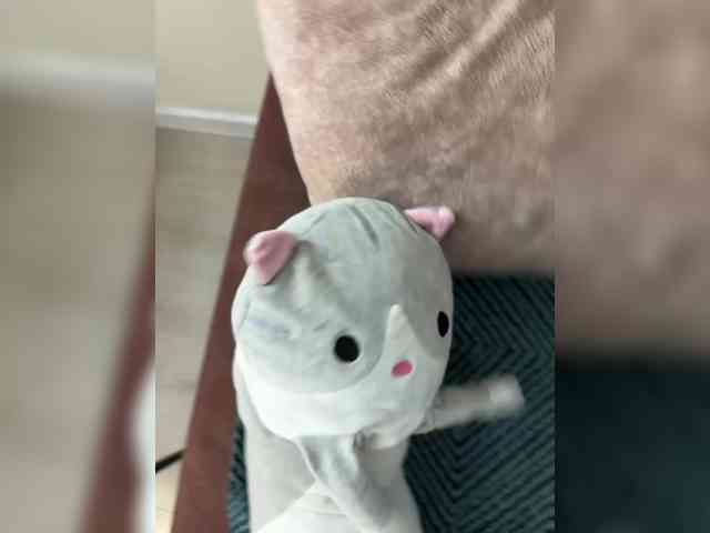 KATALINAcherry1's sex show image