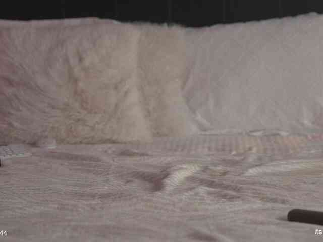 alyonaqueen's sex show image