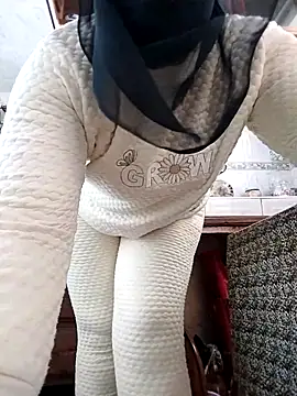 SightsedMuscadet's sex show image