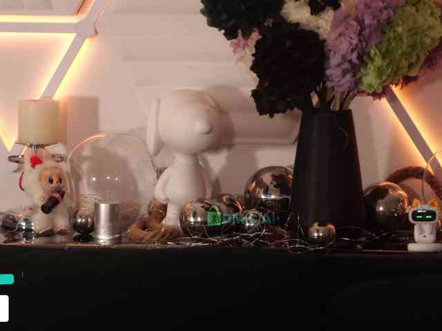 Sexshow-Bild von Taanni