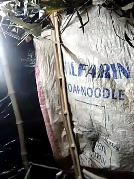 Изображение секс-шоу модели Bhavna8080