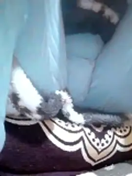 Tota_sexi's sex show image