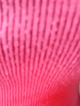 Anamika_24's sex show image