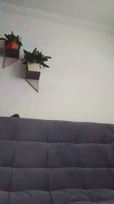 stephshiny's sex show image
