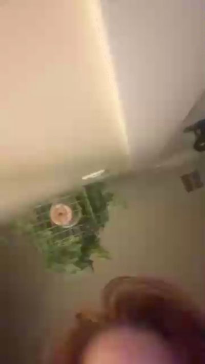 Msfreckles32's sex show image Msfreckles32's sex show image