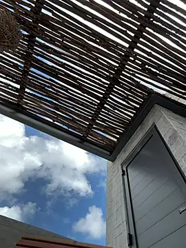 Sexshow-Bild von streetdoll