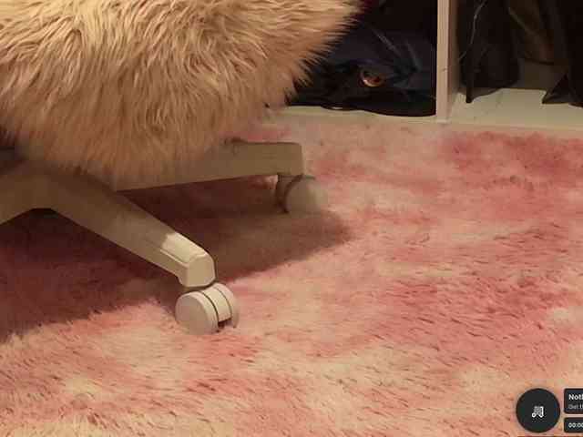 Sexshow-Bild von BaditaLuna Sexshow-Bild von BaditaLuna