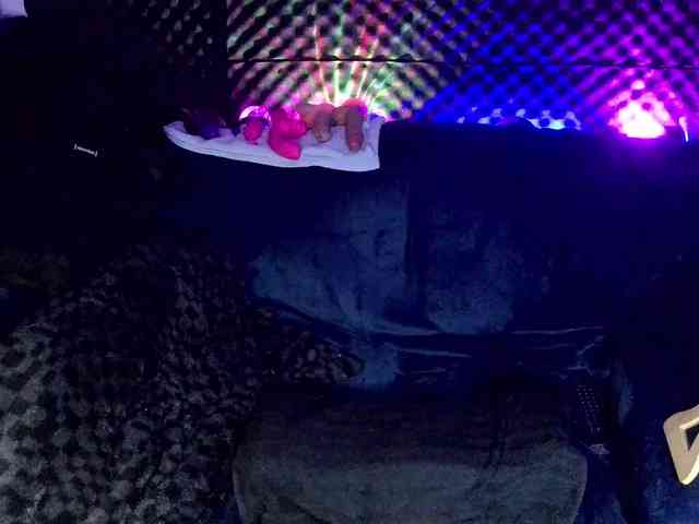 Fantasyca's sex show image