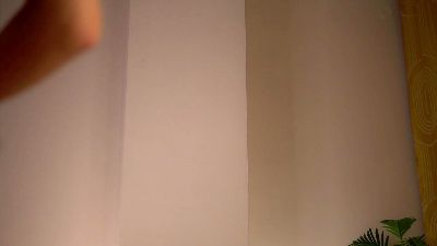 Изображение секс-шоу модели ErlinaBeames