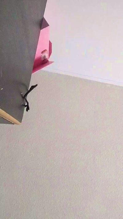 lilitt777's sex show image