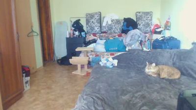 ShannonMissi's sex show image