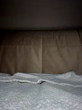 CatVibe's sex show image