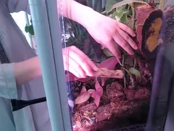 constantcumquest's sex show image constantcumquest's sex show image