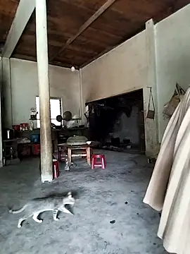 gugu0022's sex show image