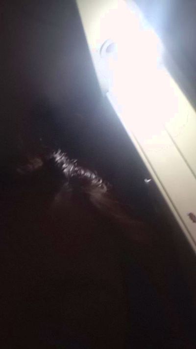 luna703's sex show image