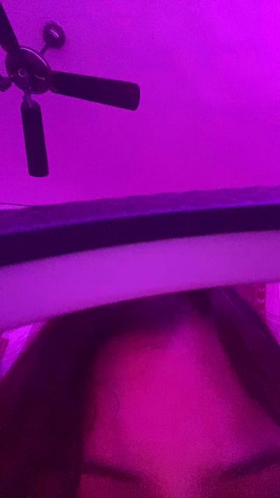 Изображение секс-шоу модели KinkyNikyxxx