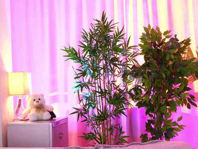 Изображение секс-шоу модели ExoticTala