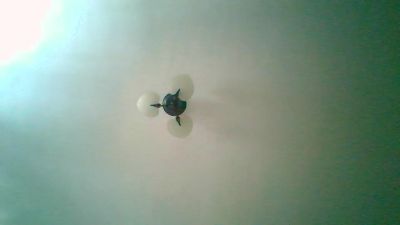 Ximenahotonly's sex show image