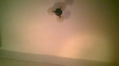 Ximenahotonly's sex show image