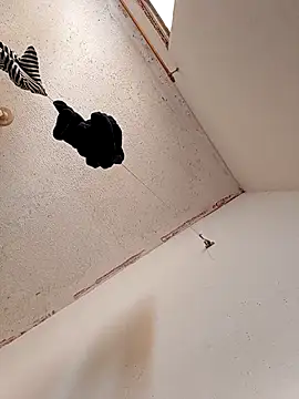 Peituda_safada's sex show image