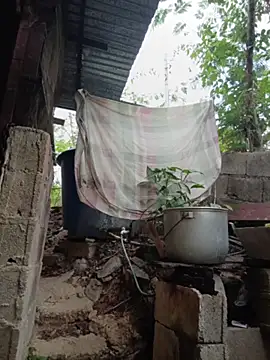 tugordita-hot's sex show image